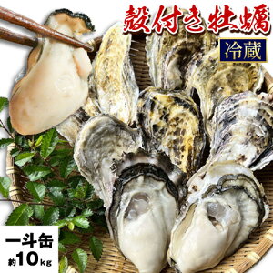 【ふるさと納税】選べる 牡蠣 殻付き牡蠣 加熱用 半缶 ( 約5kg ~ 6kg ) または 一斗缶( 約10kg ) ナイフ・軍手付《2月上旬-3月末頃出荷》備前海産 有限会社 かき カキ 海産物