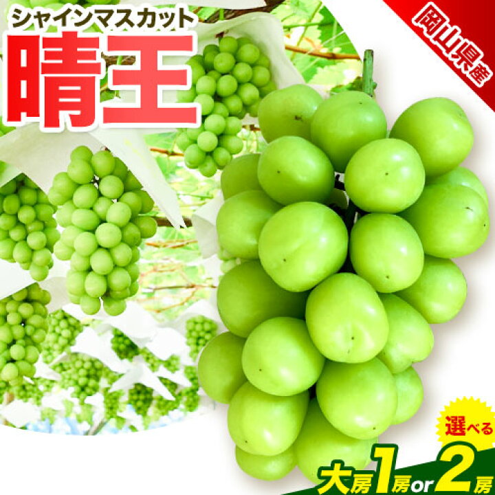 楽天市場】【ふるさと納税】ぶどう 岡山県産 【秀品】シャイン 