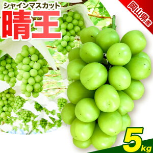 yӂ邳Ɣ[ŁzԂǂ RYyGizVC}XJbg Iׂe 1kg(2[) 2kg(3`4[) 5kg(6`8[) ~؏Xs9-11oׁtR Os Ԃǂ 
