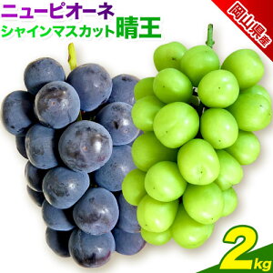 yӂ邳Ɣ[ŁzԂǂ RY j[sI[l×VC}XJbg 2Zbg Iׂe 1.5kg(j[sI[l1[VC}XJbg1[) 2kg(j[sI[l2[VC