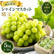 楽天市場】シャインマスカット 5kgの通販
