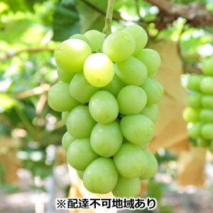 yӂ邳Ɣ[ŁzԂǂ 2025N s\ { VC }XJbg  700g×1[ uhE  RY Y t[c ʕ Mtg ʕ VC}XJbg @͂F2025N9{`2