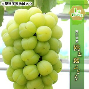 yӂ邳Ɣ[ŁzԂǂ 2025N s\ Y Ԃǂ 1[ 500g uhE  RY Y t[c ʕ Mtg ʕ @͂F2025N9{`2025N9{