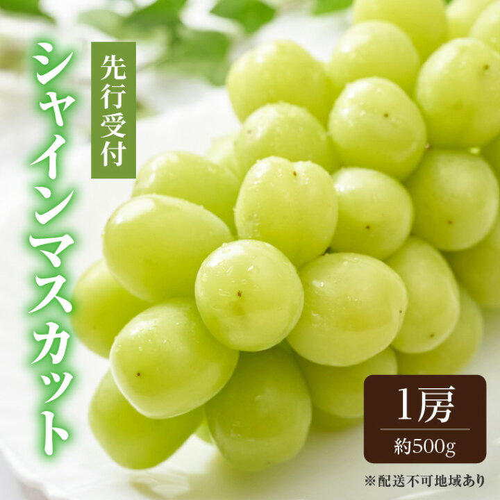 楽天市場 ふるさと納税 ぶどう 先行予約 シャインマスカット 1房 約500g 岡山 種なし 23年8月下旬以降発送 マスカット ブドウ 葡萄 フルーツ 果物 岡山県産 お届け 23年8月下旬 23年9月下旬 岡山県瀬戸内市
