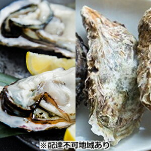 yӂ邳Ɣ[Łzy 2026Ns\ { y ނg 500g kt8 R ˓s Y  JL V[t[h  @͂F2026N1{`2026N3{