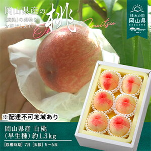 yӂ邳Ɣ[Łz 2026N s\   1.3kg 5`6   RY Y t[c ʕ Mtg@͂F2026N7{`2026N7{