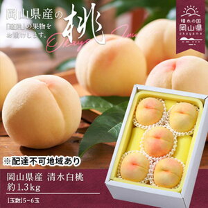 yӂ邳Ɣ[Łz 2026N s\  1.3kg 5`6   RY Y t[c ʕ Mtg@͂F2026N7{`2026N8{