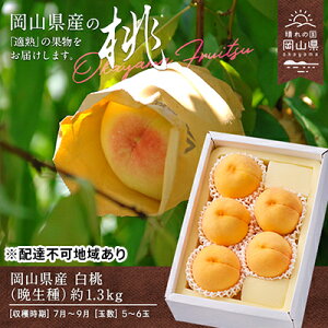 yӂ邳Ɣ[Łz 2025N s\  Ӑ 1.3kg 5`6   RY Y t[c ʕ Mtg ʓ @͂F2025N8{`2025N9{