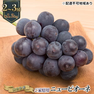 【ふるさと納税】ぶどう 2026年 先行予約 ご家庭用 ニュー ピオーネ 2〜3房 合計約1.2kg ブドウ 葡萄 岡山県産 国産 フルーツ 果物 ギフト お届け:2026年9月上旬〜2026年10月上旬