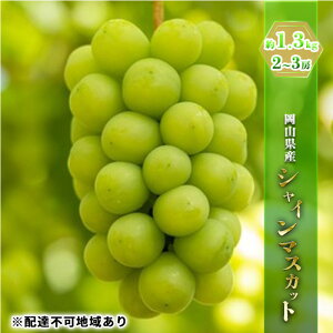 【ふるさと納税】ぶどう 2026年 先行予約 シャイン マスカット 約1.3kg 2〜3房 ブドウ 葡萄 岡山県産 国産 フルーツ 果物 ギフト お届け:2026年8月下旬〜2026年9月下旬