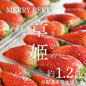 【ふるさと納税】メリーベリー 章姫 いちご 約1.2kg（約300g×4パック）【配達不可：北海道・東北・新潟・沖縄・離島】 苺 イチゴ 果物類 フルーツ 　お届け：2026年1月上旬～2026年3月31日まで