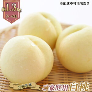 yӂ邳Ɣ[Łz 2026N s\ ƒp R   5`6 v1.3kg   RY Y t[c ʕ Mtg@͂F2026N6{`2026N7{