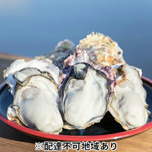 yӂ邳Ɣ[Łzy 2026Ns\ { y kt 3kg R ˓s Y L y   JL @͂F2026N1{`2026N3{