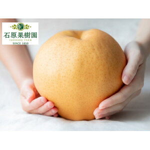 yӂ邳Ɣ[Łz 2025N s\ Ojij 1 (1`1.4kg)  iV Ȃ RY Y t[c ʕ Mtg Όʎ@͂F2025N1115`2025N1220