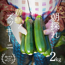 【ふるさと納税】瀬戸内 牛窓産 ズッキーニ 約2kg（12本前後）　【野菜 岡山県産】　お届け：2024年4月上旬～2024年6月下旬