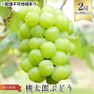 �y�ӂ邳�Ɣ[�Łz�Ԃǂ� 2026�N ��s�\�� �����Y �Ԃǂ� 2�[�i1�[480g�ȏ�j �u�h�E ���� ���R���Y ���Y �t���[�c �ʕ� �M�t�g ���ϔ� �����i �@���͂��F2026�N7�����{�`2026�N9�����{