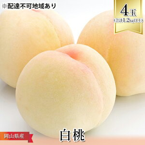 �y�ӂ邳�Ɣ[�Łz�� 2026�N ��s�\�� ���� 4�ʁi���v1.2kg�ȏ�j���ϔ����� ���� ���� ���R���Y ���Y �t���[�c �ʕ� �M�t�g �����p �@���͂��F2026�N7����{�`2026�N8����{