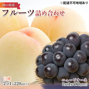 �y�ӂ邳�Ɣ[�Łz�� �Ԃǂ� 2026�N ��s�\�� �l�ߍ��킹 ���� 2�ʁi1��220g�ȏ�j�E�j���[ �s�I�[�l2�[�i1�[480g�ȏ�j���ϔ����� ���� ���� ���R���Y ���Y �t���[�c �ʕ� �M�t�g �}�X�J�b�g �j