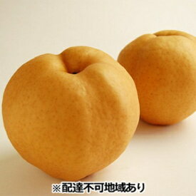 【ふるさと納税】梨 早期受付 岡山 の あたご 梨 2～3玉（2kg以上） 合計2kg以上 なし ナシ 岡山県産 国産 フルーツ 果物 ギフト桃茂実苑 あたご梨 糖度12.5度以上 2キロ 　お届け：2025年12月中旬～2025年12月下旬