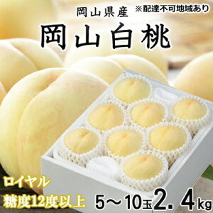 yӂ邳Ɣ[Łz 2026N s\ R  C 5`10 2.4kg JA܂̂iEj   RY Y t[c ʕ Mtg @͂F2026N7{`2026N8