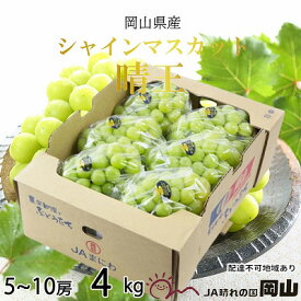 【ふるさと納税】ぶどう 2025年 先行予約 シャイン マスカット 晴王 5房～10房 約4kg 7月上旬～8月中旬発送 ブドウ 葡萄 岡山県産 国産 フルーツ 果物 ギフト 種なし おやつ 　お届け：2025年7月上旬～2025年8月中旬