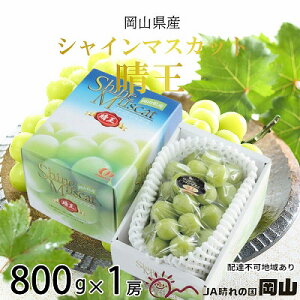 yӂ邳Ɣ[ŁzԂǂ 2026N s\ VC }XJbg  800g×1[ 7{`8{ uhE  RY Y t[c ʕ Mtg @͂F2026N7{`2026N8{