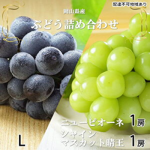yӂ邳Ɣ[ŁzԂǂ 2026N s\ j[ sI[l 1[ 400g VC }XJbg  1[ 400g lߍ킹 6{`7{ RY Y t[c ʕ Mtg Ȃ @