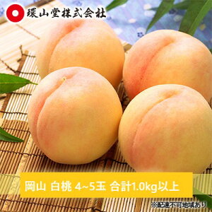 yӂ邳Ɣ[Łz 2026N s\ R  4`5 v1.0kgȏ   RY Y t[c ʕ Mtg R ˓ L܍͔| 炪 i Â L Ƃ낯 ʏ` 