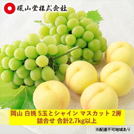 【ふるさと納税】桃 ぶどう 2027年 先行予約 岡山 白桃 5玉とシャイン マスカット 2房 詰合せ 合計2.7kg以上 もも 葡萄 岡山県産 国産 フルーツ 果物 ギフト 環山堂 上品 甘み 乳白色 人気 皮ごと 贈り物 セット 　お届け：2027年7月上旬〜2027年8月上旬