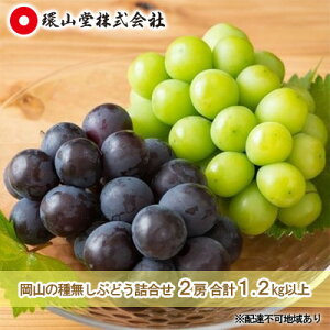【ふるさと納税】ぶどう 2026年 先行予約 種無し ぶどう 詰合せ 2房 合計1.2kg以上 マスカット ブドウ 葡萄 岡山県産 国産 フルーツ 果物 ギフト 環山堂 大粒 甘い 甘酸っぱさ 人気 香り 皮ごと