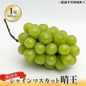 yӂ邳Ɣ[ŁzԂǂ 2025N s\ VC }XJbg  1[ i1[670gȏj ϔ }XJbg uhE  RY Y t[c ʕ Mtg i  嗱 햳 