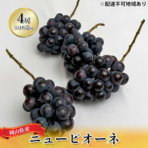 yӂ邳Ɣ[ŁzԂǂ 2026N s\ j[ sI[l 4[iv2kgj uhE  RY Y t[c ʕ Mtg @͂F2026N8{`2026N9{