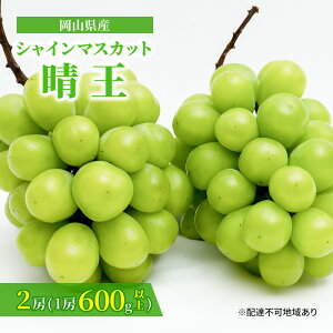 yӂ邳Ɣ[ŁzԂǂ 2026N s\ VC }XJbg  2[ i1[ 600gȏj ϔ }XJbg uhE  RY Y t[c ʕ Mtg Ԃǂ 嗱 Ȃ 