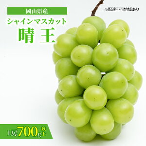 yӂ邳Ɣ[ŁzԂǂ 2025N s\ VC }XJbg  1[ 700gȏ ϔ }XJbg uhE  RY Y t[c ʕ Mtg Ԃǂ 嗱 Ȃ i @