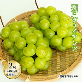 【ふるさと納税】ぶどう 2025年 先行予約 瀬戸 ジャイアンツ 2房（1房480g以上）約1kg 化粧箱入り ブドウ 葡萄 岡山県産 国産 フルーツ 果物 ギフト 薄皮 皮ごと 高糖度 酸味控えめ 甘酸っぱい 　お届け：2025年9月上旬～2025年9月下旬