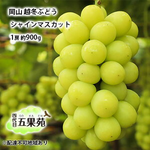 yӂ邳Ɣ[Łzz~ Ԃǂ VC }XJbg 1[ 900g RY l ܉ʉ ʕ t[c fU[g  n ϓx20x _ Ȃ 炲 @͂F2025N11{`2026N4