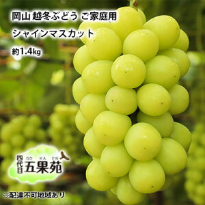yӂ邳Ɣ[Łzz~ Ԃǂ ƒp VC }XJbg 1.4kg RY l ܉ʉ ʕ t[c fU[g  n ϓx20x _ Ȃ 炲 @͂F2025N11{`