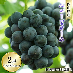 yӂ邳Ɣ[ŁzԂǂ 2026N s\ j[ sI[l 2[i1[ 480gȏ In͔|j uhE  RY Y t[c ʕ Mtg R̕ @͂F2026N9{`2026N10{