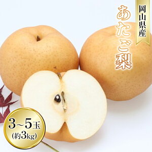 yӂ邳Ɣ[Łz 2025N s\  3kg 3`5ʓ Ȃ iV RY Y t[c ʕ Mtg a fU[g H {̑傫  VV @͂F2025N11{