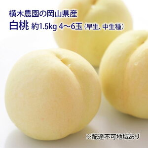 yӂ邳Ɣ[Łz 2026N s\ R iAj1.5kg 4`6   RY Y t[c ʕ Mtg ؔ_ XC[c @͂F2026N7{`2026N8{
