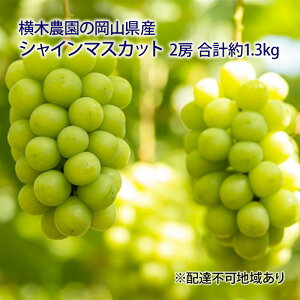 yӂ邳Ɣ[ŁzԂǂ 2025N s\ VC }XJbg 2[ v1.3kg p uhE  RY Y t[c ʕ Mtg ؔ_ ʕ XC[c @͂F2025N9{`2025