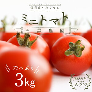 yӂ邳Ɣ[ŁzHׂ΍񂿂 ~jg}g Ղ 3kg R ˓sY ΍_yzBsFz  ΉF T_ t킹 L@엿 @͂F2025N12{