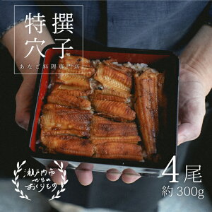 yӂ邳Ɣ[Łzq Ăq 4 300g Ă  ^pbN I I s Ԃ L   aH   ① ①z R R ˓s