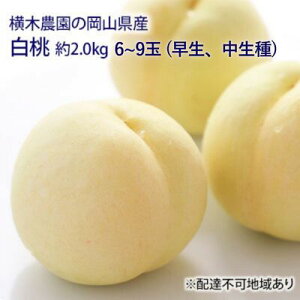 yӂ邳Ɣ[Łz 2026N s\ R  iAj2.0kg 6`9   RY Y t[c ʕ Mtg ؔ_ fU[g z ϔ ʓ _炩ʏ` I 
