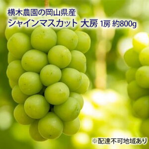 yӂ邳Ɣ[ŁzԂǂ 2025N s\ VC }XJbg [1[ 800g p uhE  RY Y t[c ʕ Mtg ؔ_ W[V[ 햳 蕨 RYԂǂ @