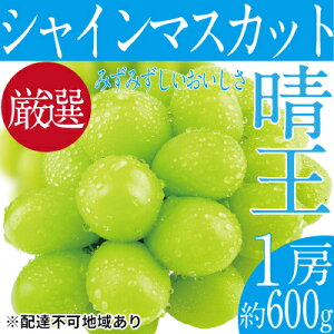 yӂ邳Ɣ[ŁzԂǂ 2025N s\ VC }XJbg  1[ 600g uhE  RY Y t[c ʕ Mtg fU[g H _Ȃ Yn @͂F2025N9{