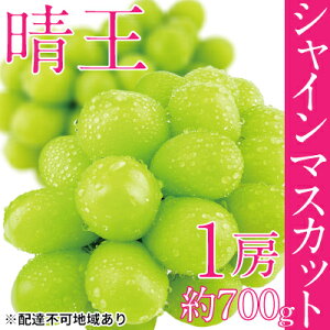 yӂ邳Ɣ[ŁzԂǂ 2025N s\ VC }XJbg  1[ 700g uhE  RY Y t[c ʕ Mtg fU[g H _Ȃ Yn @͂F2025N9{