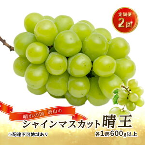 yӂ邳Ɣ[ŁzԂǂ 2026N s\ ̍ R VC }XJbg   2ie1[600gȏj  RY Y t[c ʕ Mtg @͂F2026N9{`2026N10