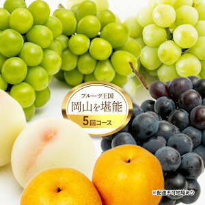 yӂ邳Ɣ[Łzt[c  2026N s\ t[c R\ 5R[X    Ԃǂ  ȂRY Y ʕ Zbg Mtg _炩 }XJbg Â _  