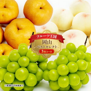 yӂ邳Ɣ[Łzt[c  2026N s\ t[c R xXgZNg 3R[X    Ԃǂ  Ȃ RY Y ʕ Zbg Mtg _炩 }XJbg Â _